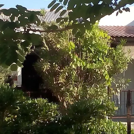 Garden דירה *