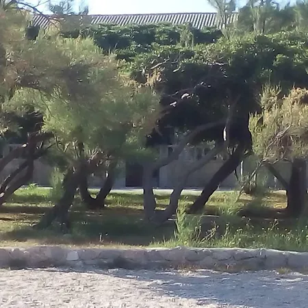 Garden דירה *