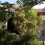 Garden アパート *