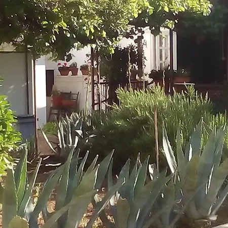 Garden Apartment *